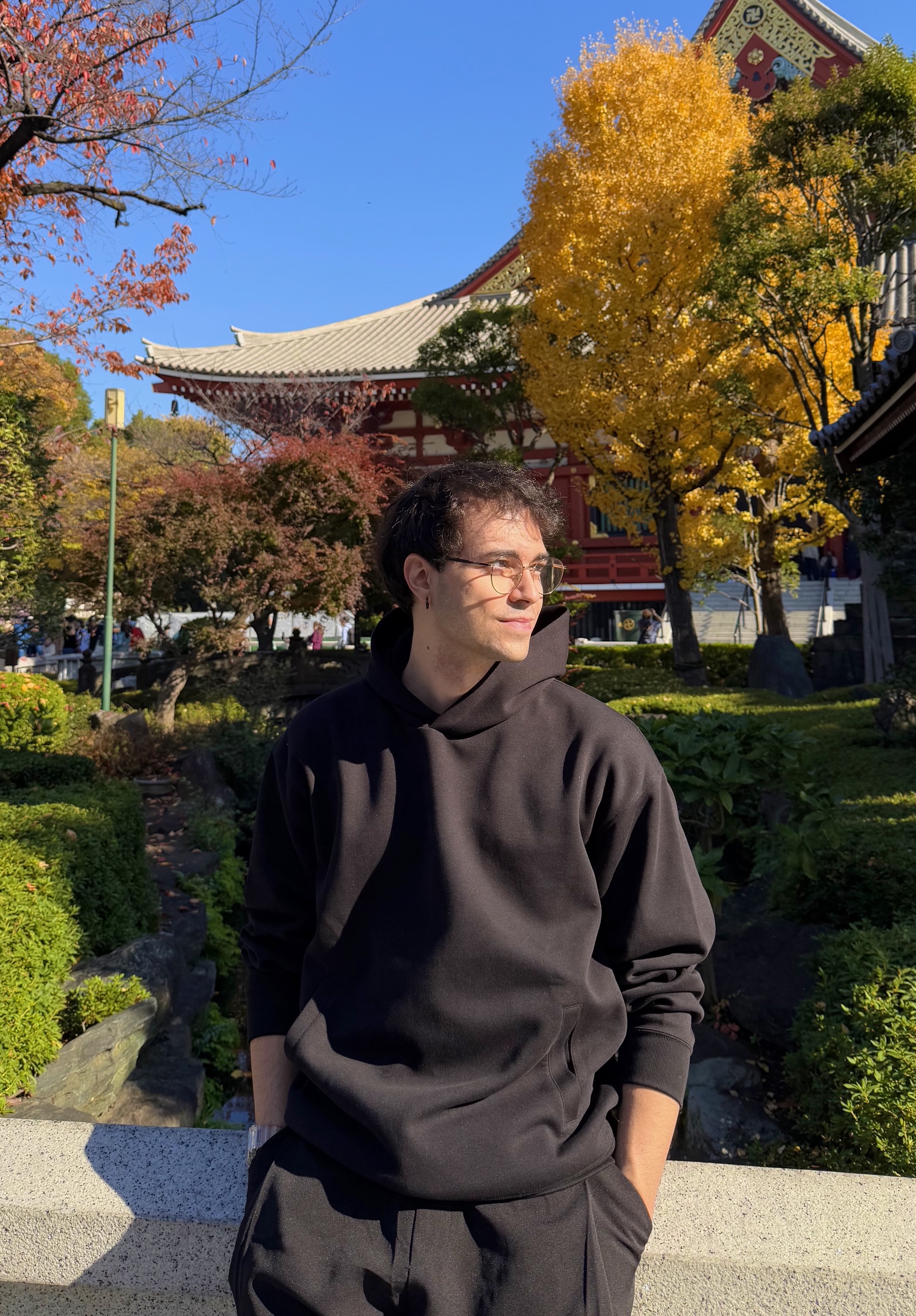 Ant in Senso-ji